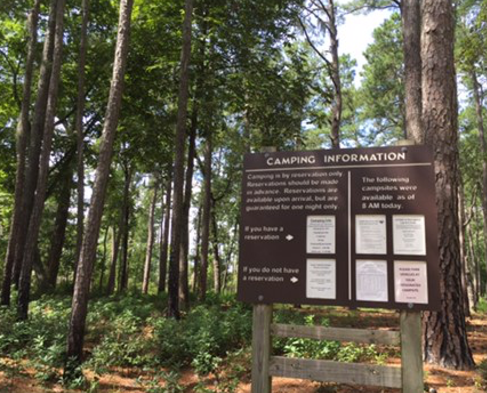 Camper-submitted photo at Goose Creek State Park Campground near Kinston, NC