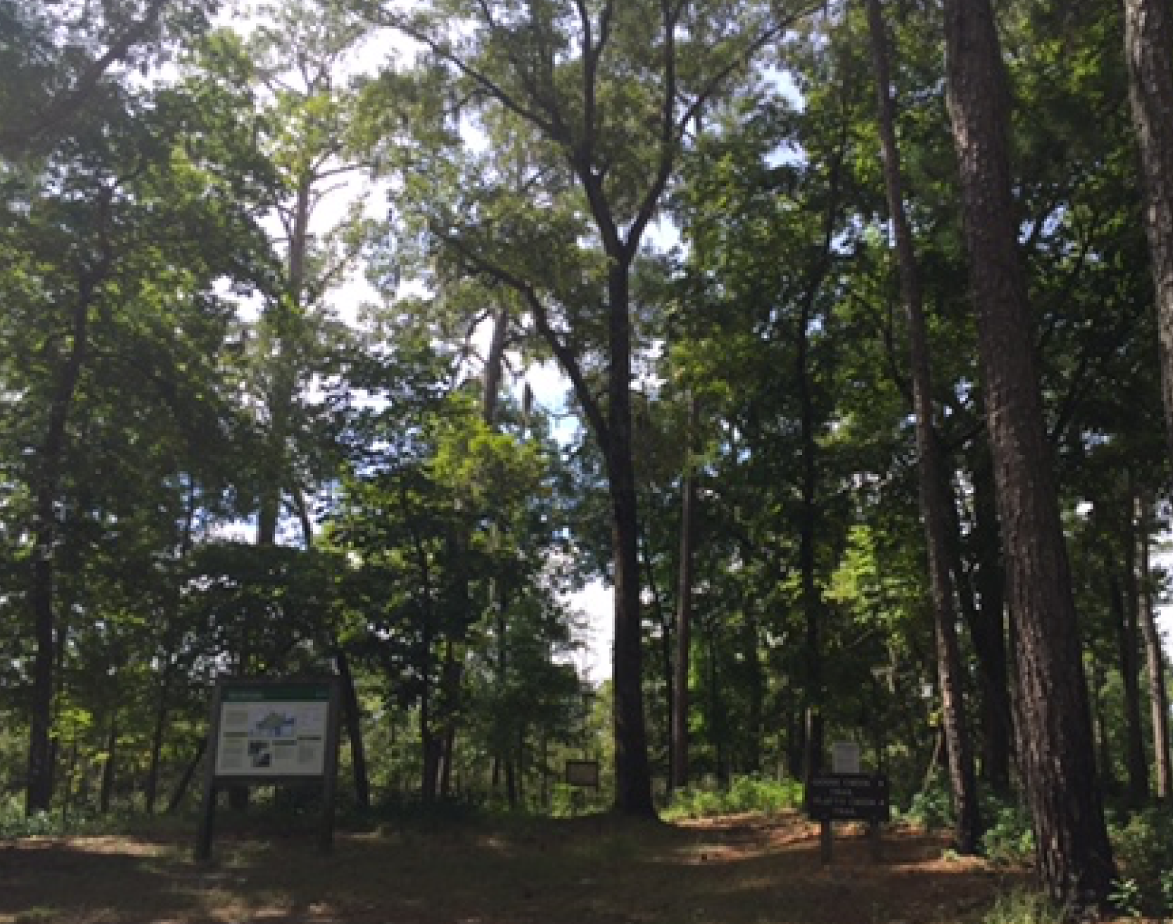Goose Creek State Park Campground