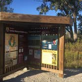 Review photo of Wilson Island State Recreation Area by Matt S., October 1, 2016