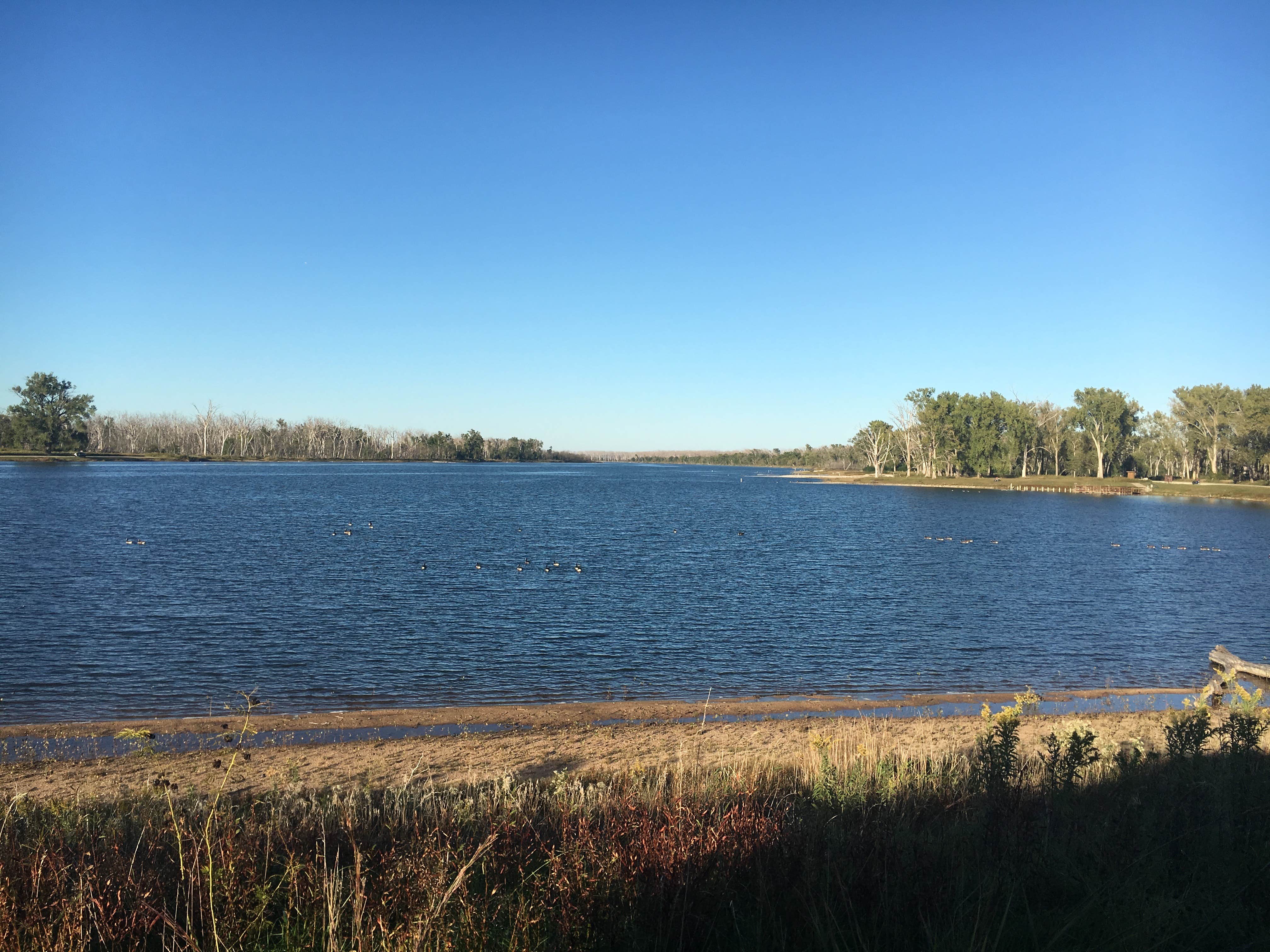 Camper-submitted photo at Wilson Island State Recreation Area Campground near Honey Creek, IA