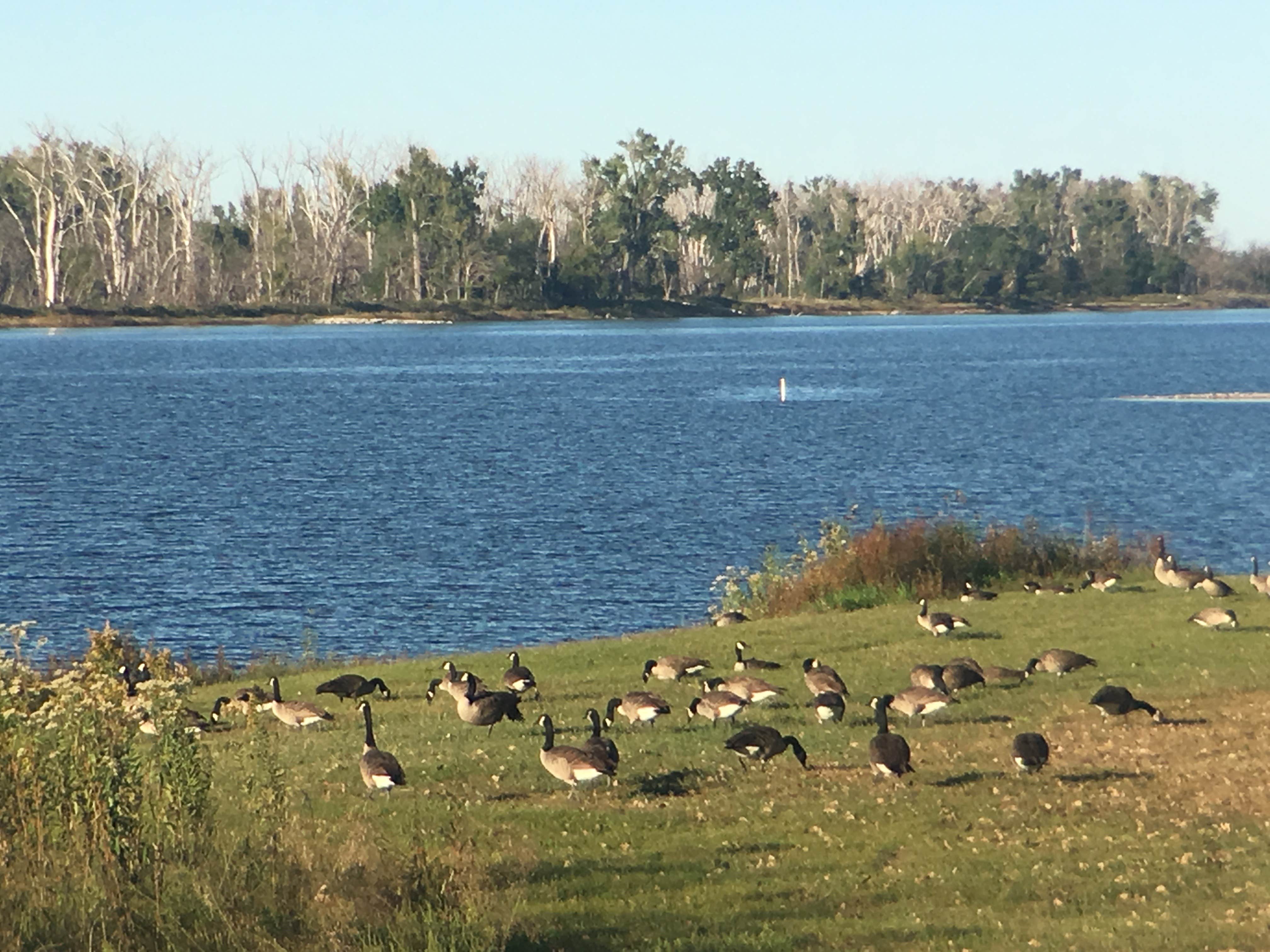 Camper-submitted photo at Wilson Island State Recreation Area Campground near Honey Creek, IA