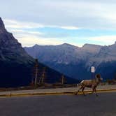 Review photo of Rising Sun Campground — Glacier National Park by Elliott B., October 1, 2016
