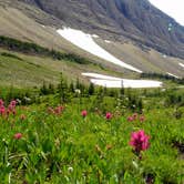 Review photo of Rising Sun Campground — Glacier National Park by Elliott B., October 1, 2016