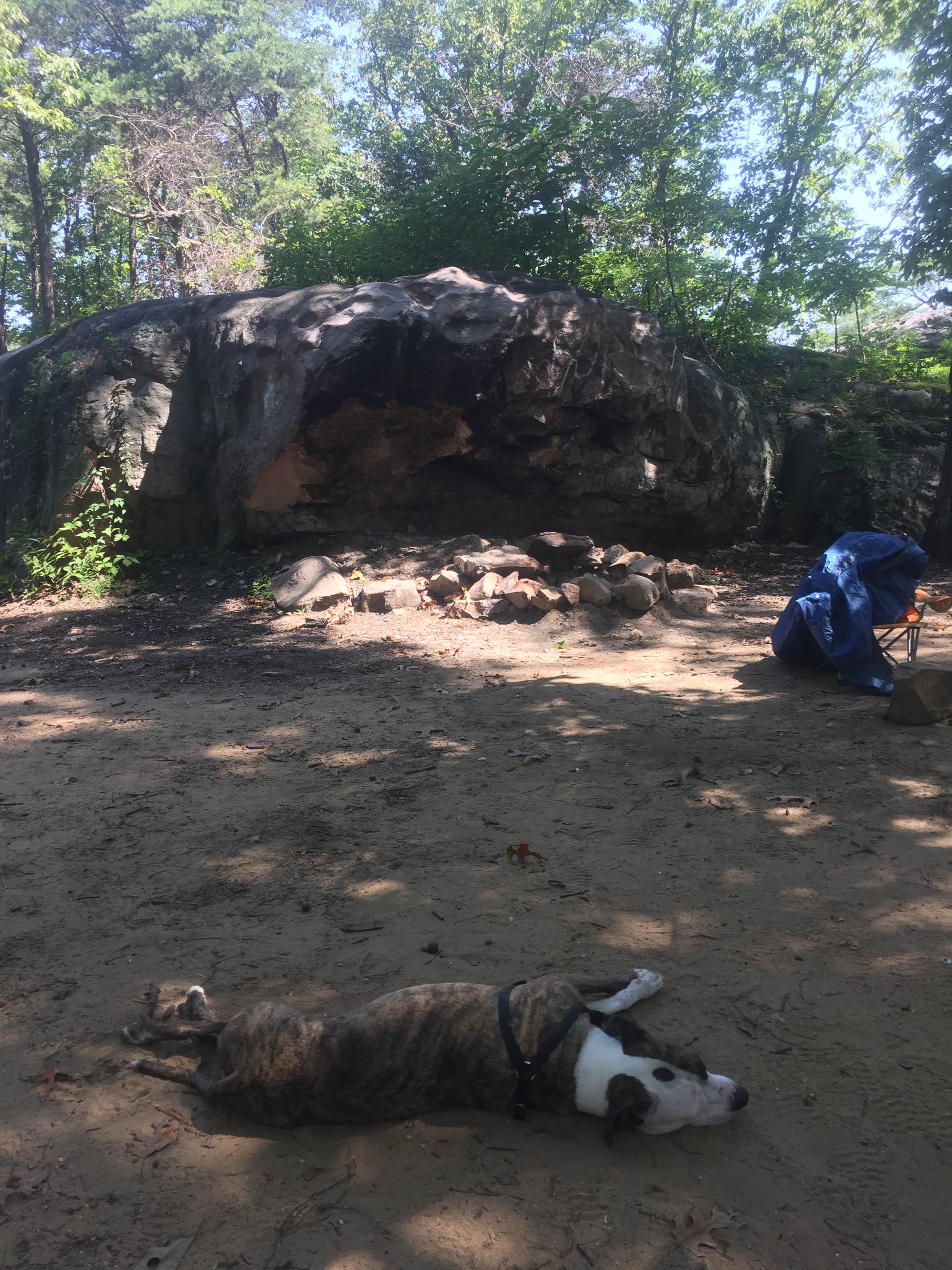 Keller H.'s photo of camping with pets at Cherokee Rock Village near Gadsden, AL