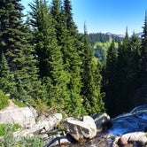 Review photo of Cougar Rock Campground — Mount Rainier National Park by Elliott B., October 1, 2016
