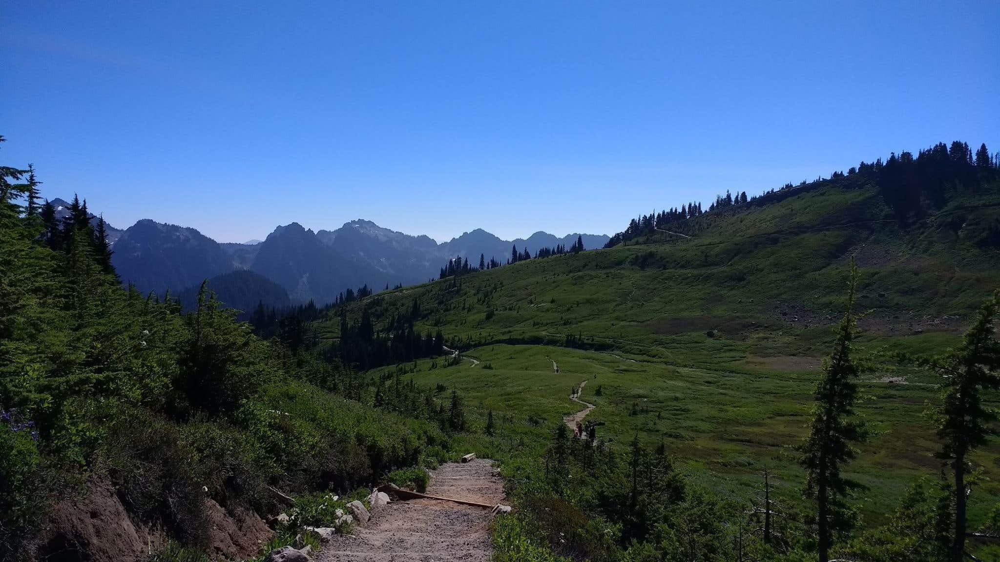 Cougar Rock Campground — Mount Rainier National Park Longmire, WA