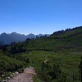 Review photo of Cougar Rock Campground — Mount Rainier National Park by Elliott B., October 1, 2016
