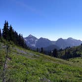 Review photo of Cougar Rock Campground — Mount Rainier National Park by Elliott B., October 1, 2016