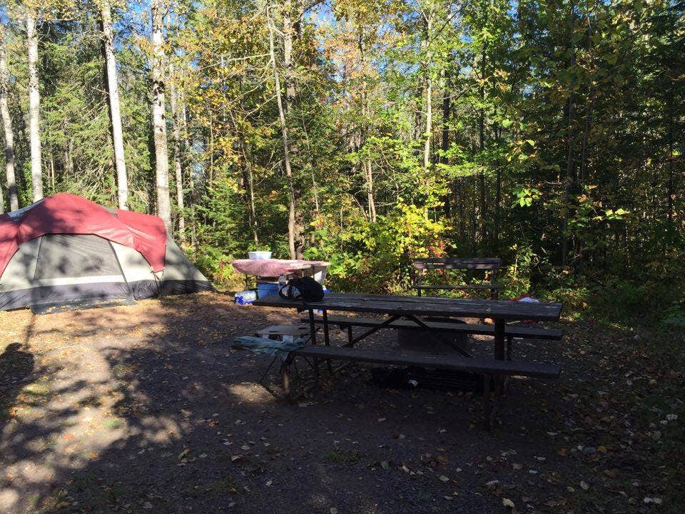 Camper submitted image from Pattison State Park Campground - 5