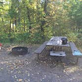 Review photo of Pattison State Park Campground by Lisa S., September 26, 2016