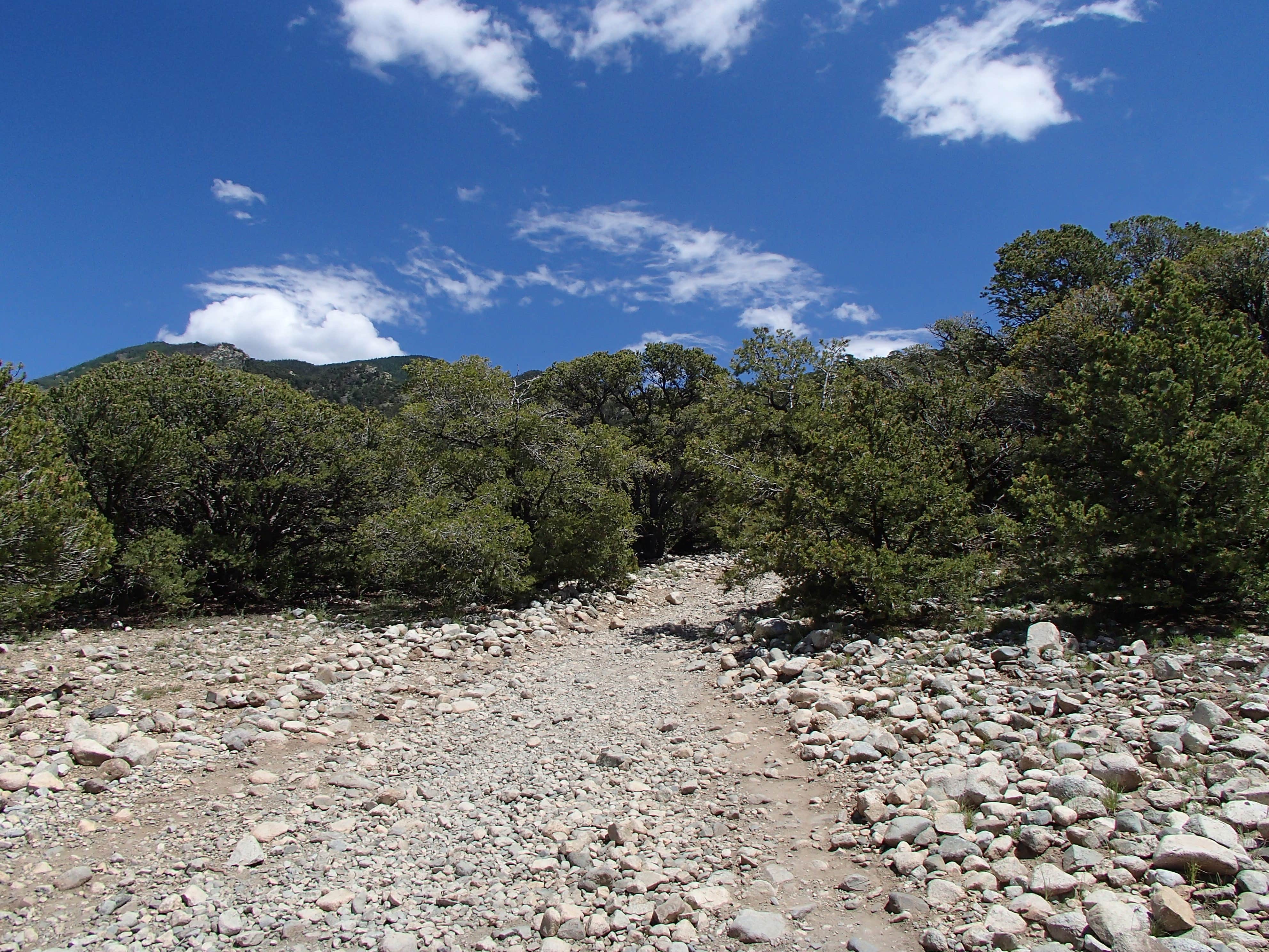 Camper submitted image from Zapata Falls Campground - 3