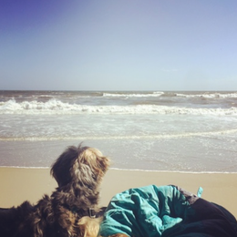 Cape Point — Cape Lookout National Seashore