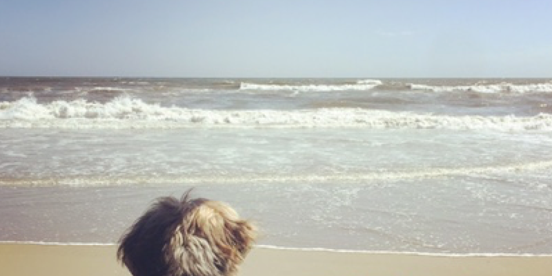 Camper submitted image from Cape Point — Cape Lookout National Seashore