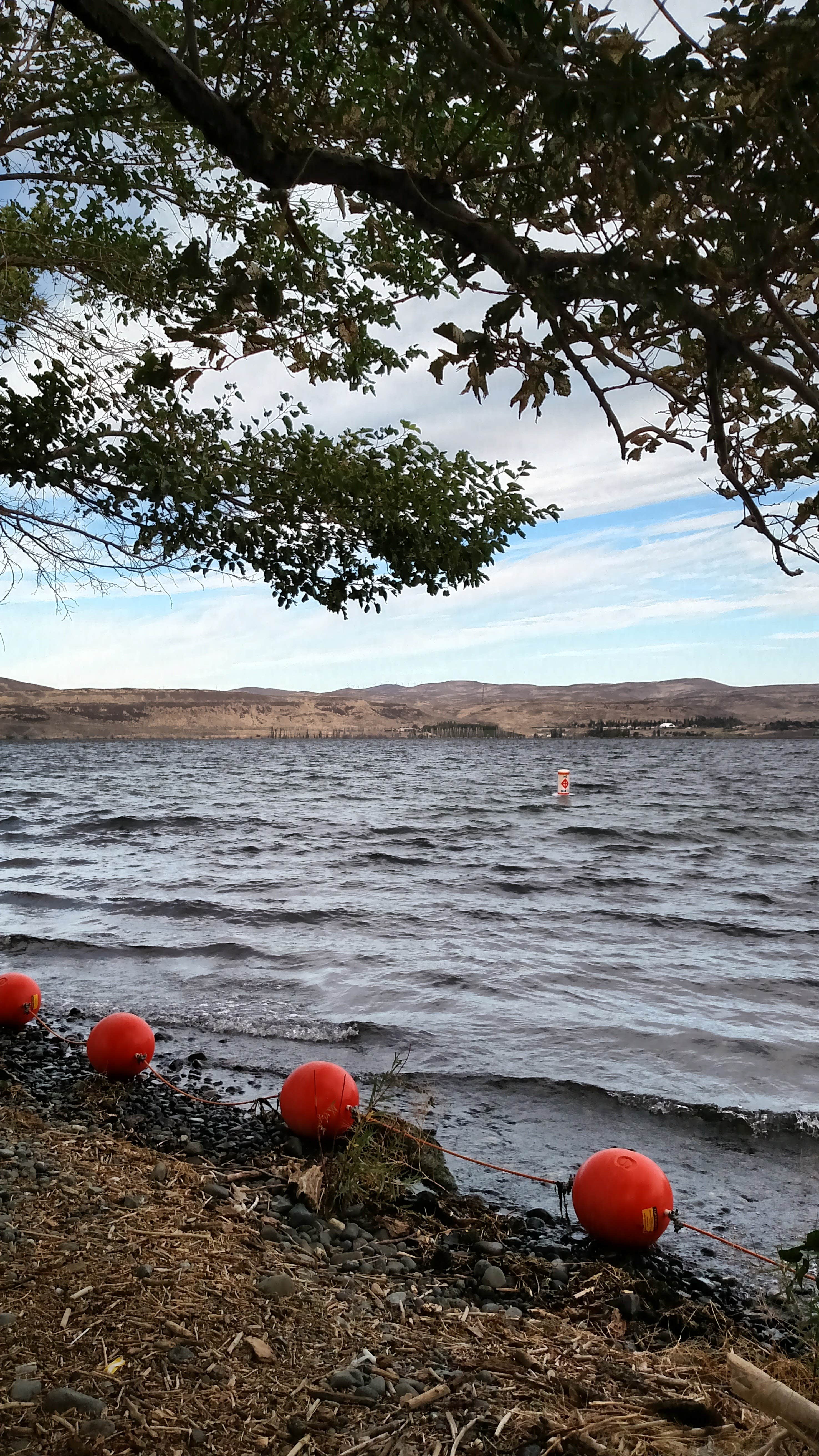 Camper-submitted photo at Sand Hollow Campground near Beverly, WA