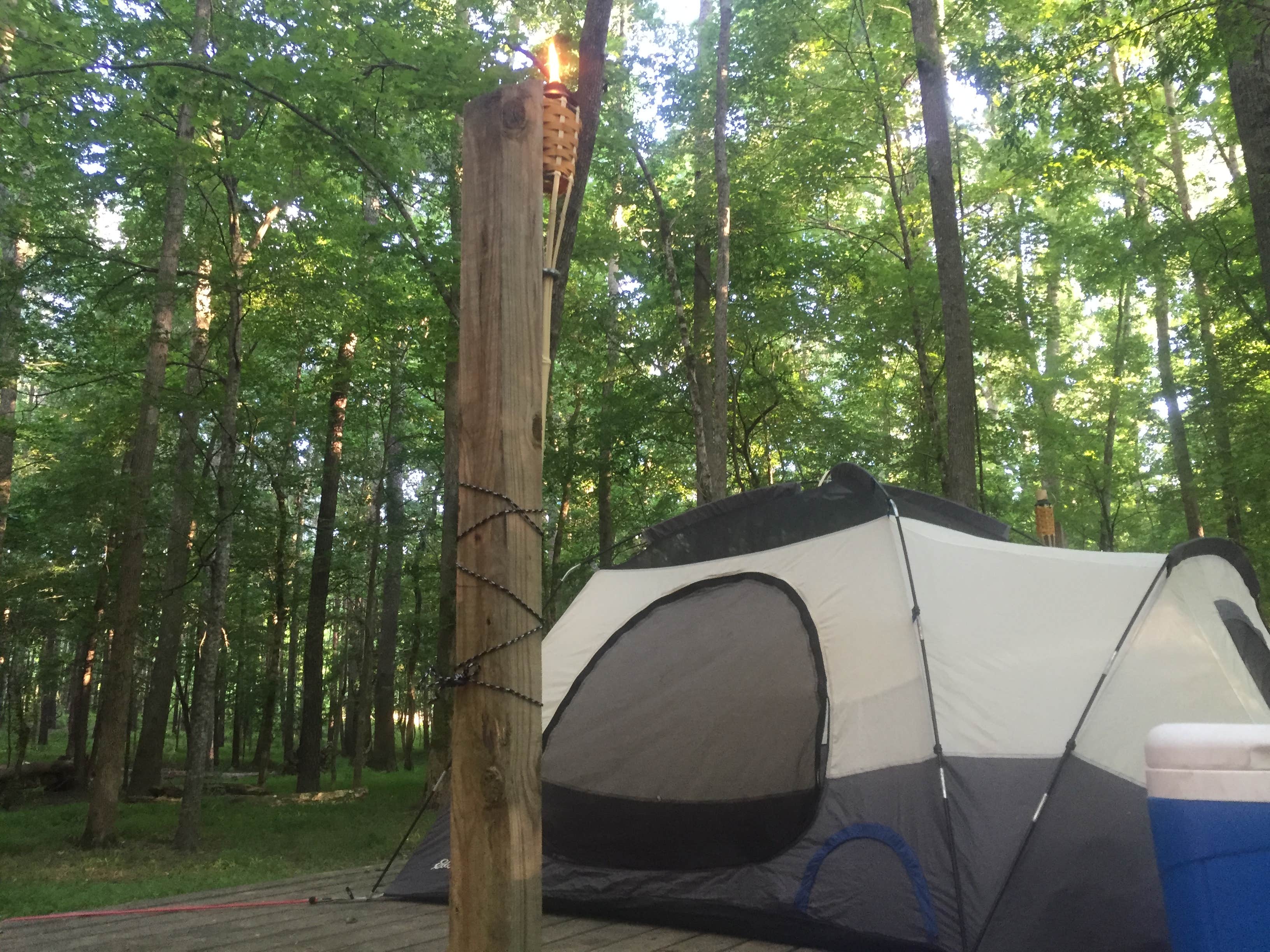 Keller H.'s photo at Chattahoochee Bend State Park Campground near Newnan, GA