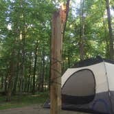 Review photo of Chattahoochee Bend State Park Campground by Keller H., October 1, 2016