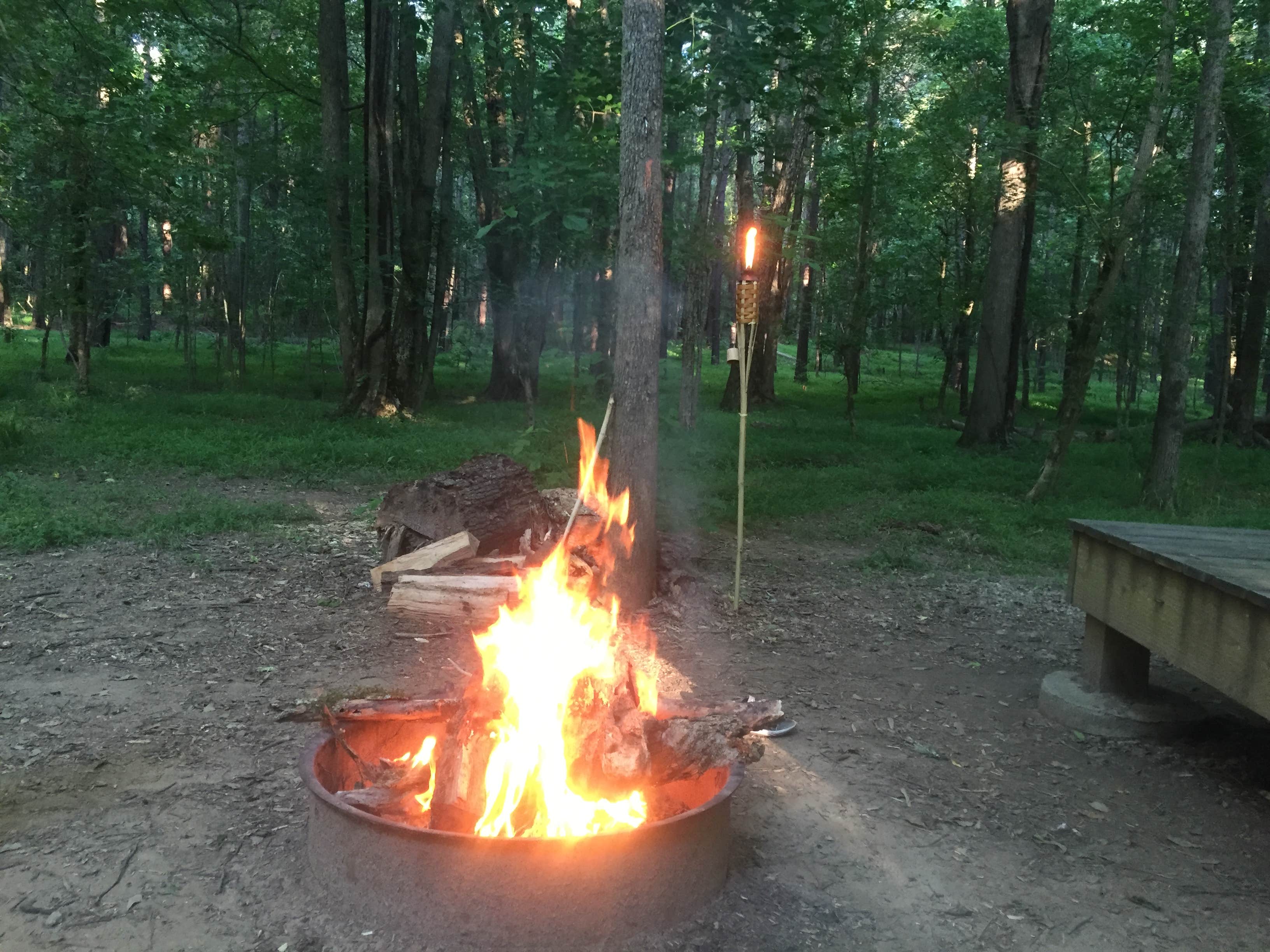 Camper submitted image from Chattahoochee Bend State Park Campground - 2