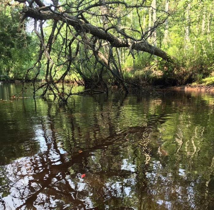 Camper-submitted photo at Atsion Family Camp — Wharton State Forest near Runnemede, NJ