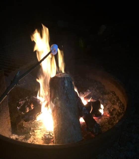 Camper submitted image from Atsion Family Camp — Wharton State Forest - 2