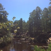 Review photo of Wharton State Forest by Stephanie T., October 1, 2016