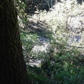 Review photo of Humbug Mountain State Park Campground by Molly & Armand K., June 14, 2016