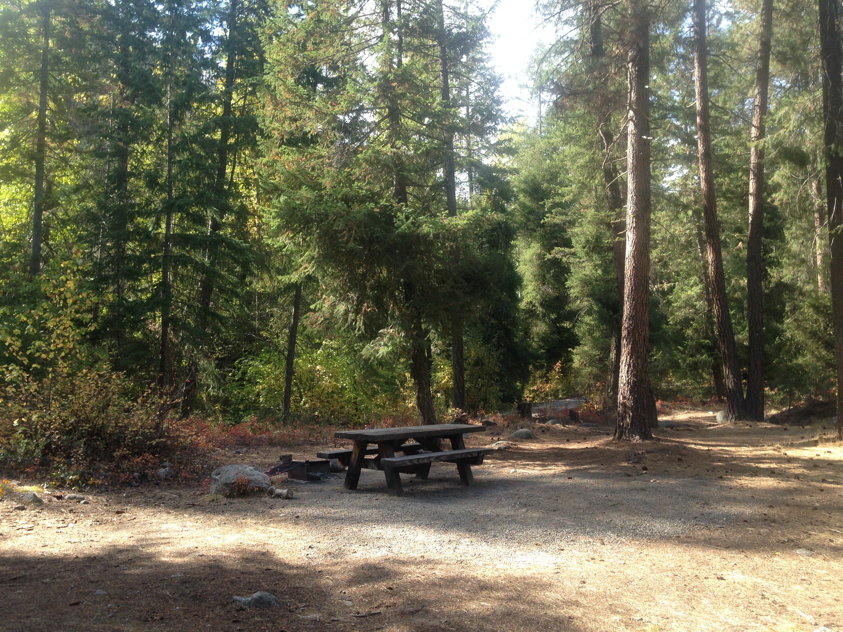 Camper submitted image from Foggy Dew Campground - 1