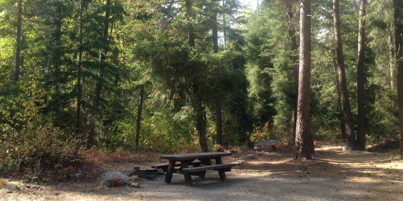 Camper submitted image from Foggy Dew Campground