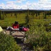 Review photo of Wonder Lake Campground — Denali National Park by Dan G., June 14, 2016