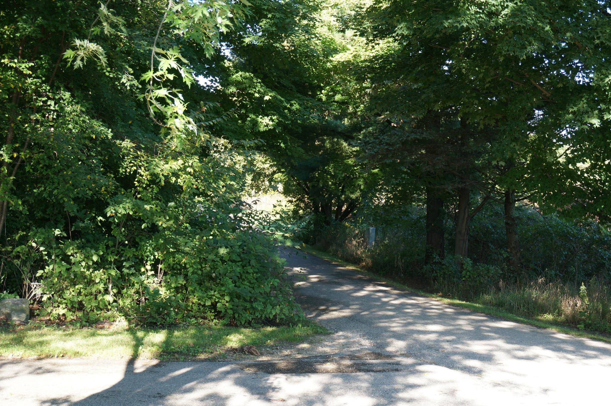 Waubedonia Park photo 5