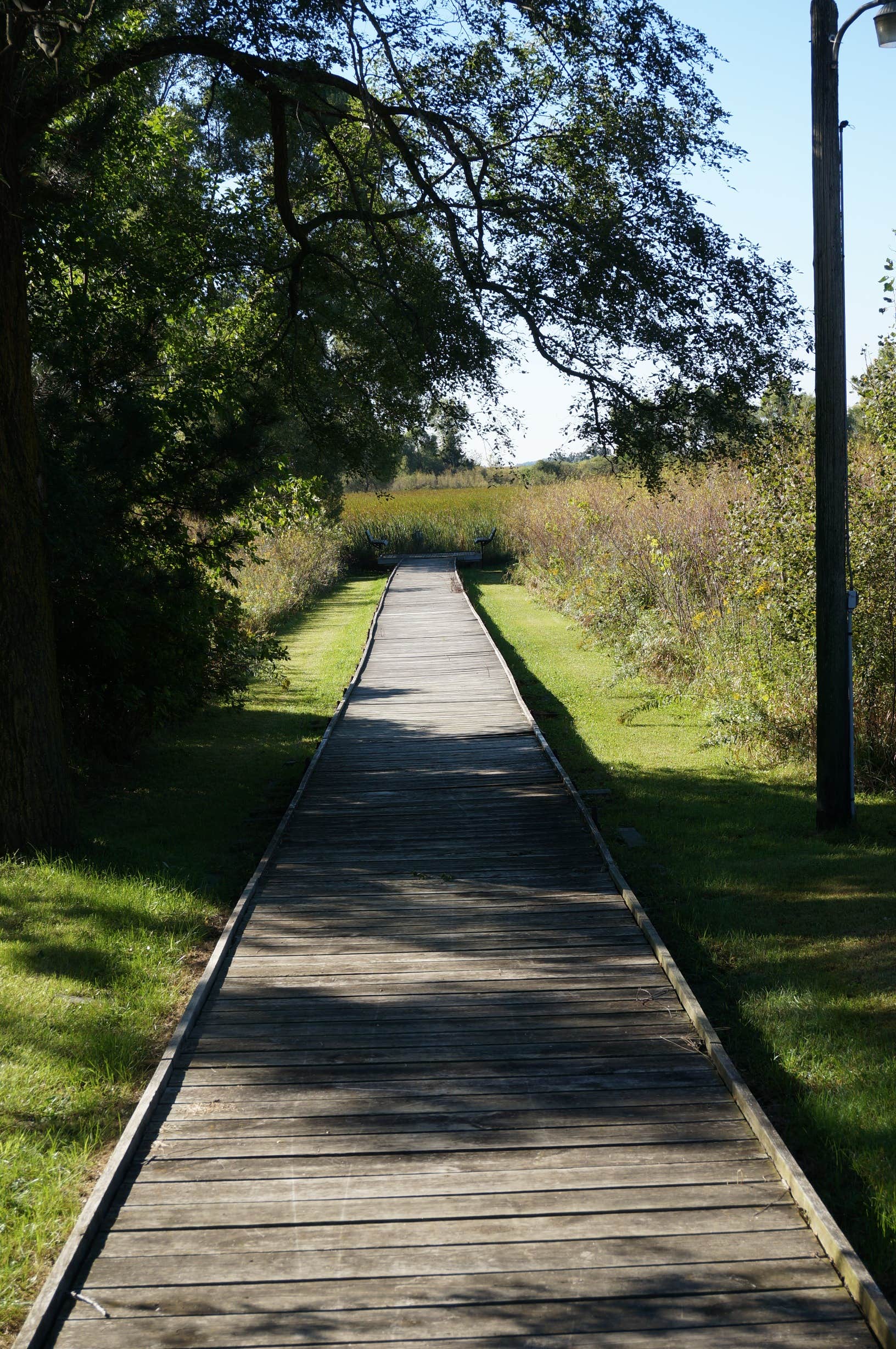 Review of Sandhill Station State Campground The Dyrt