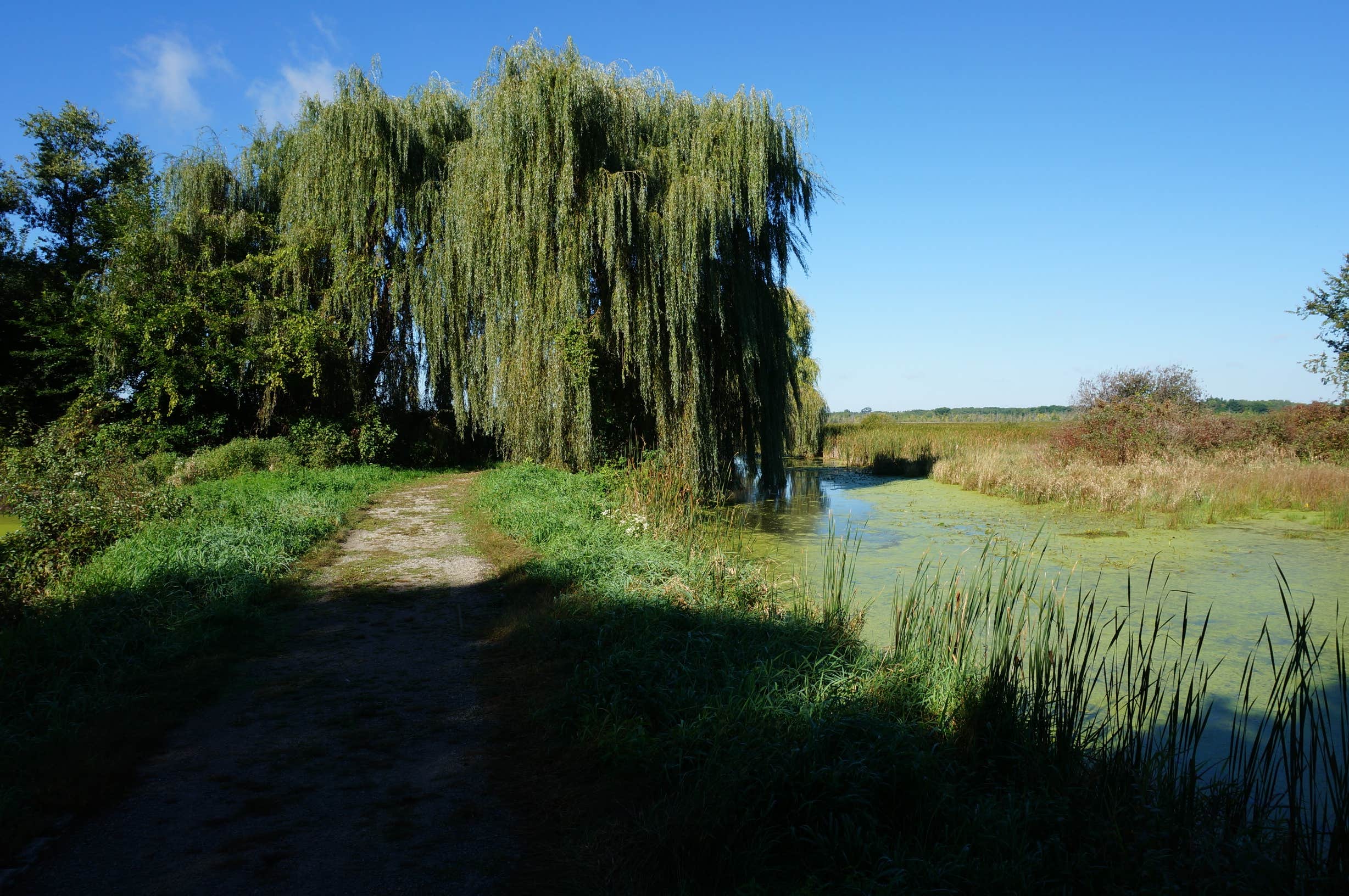 Camper-submitted photo at Sandhill Station State Campground — Lake Mills Wildlife Area near Jefferson, WI