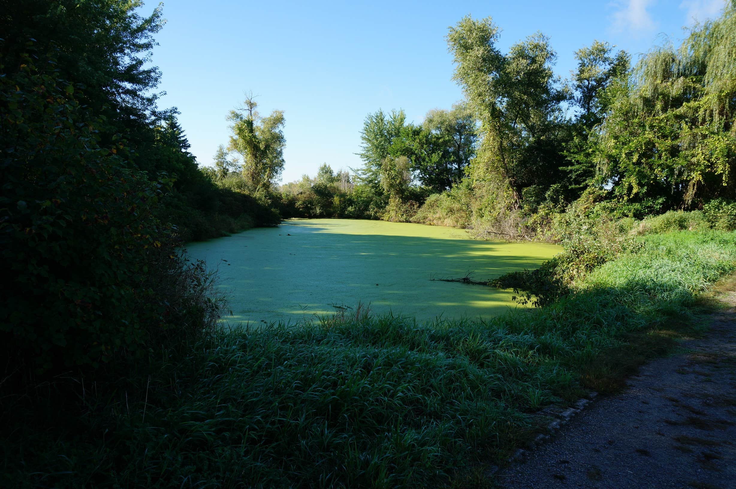 Camper-submitted photo at Sandhill Station State Campground — Lake Mills Wildlife Area near Lake Mills, WI