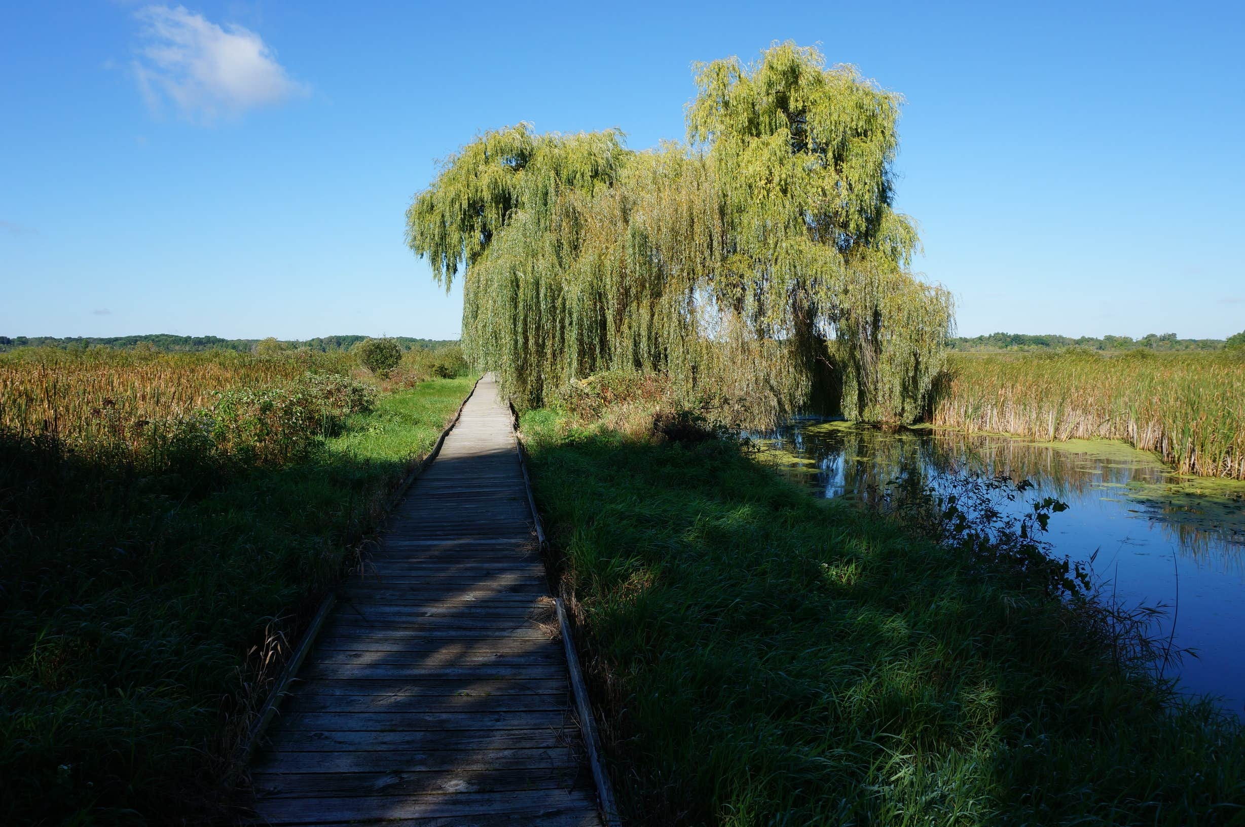 Camper-submitted photo at Sandhill Station State Campground — Lake Mills Wildlife Area near Lake Mills, WI