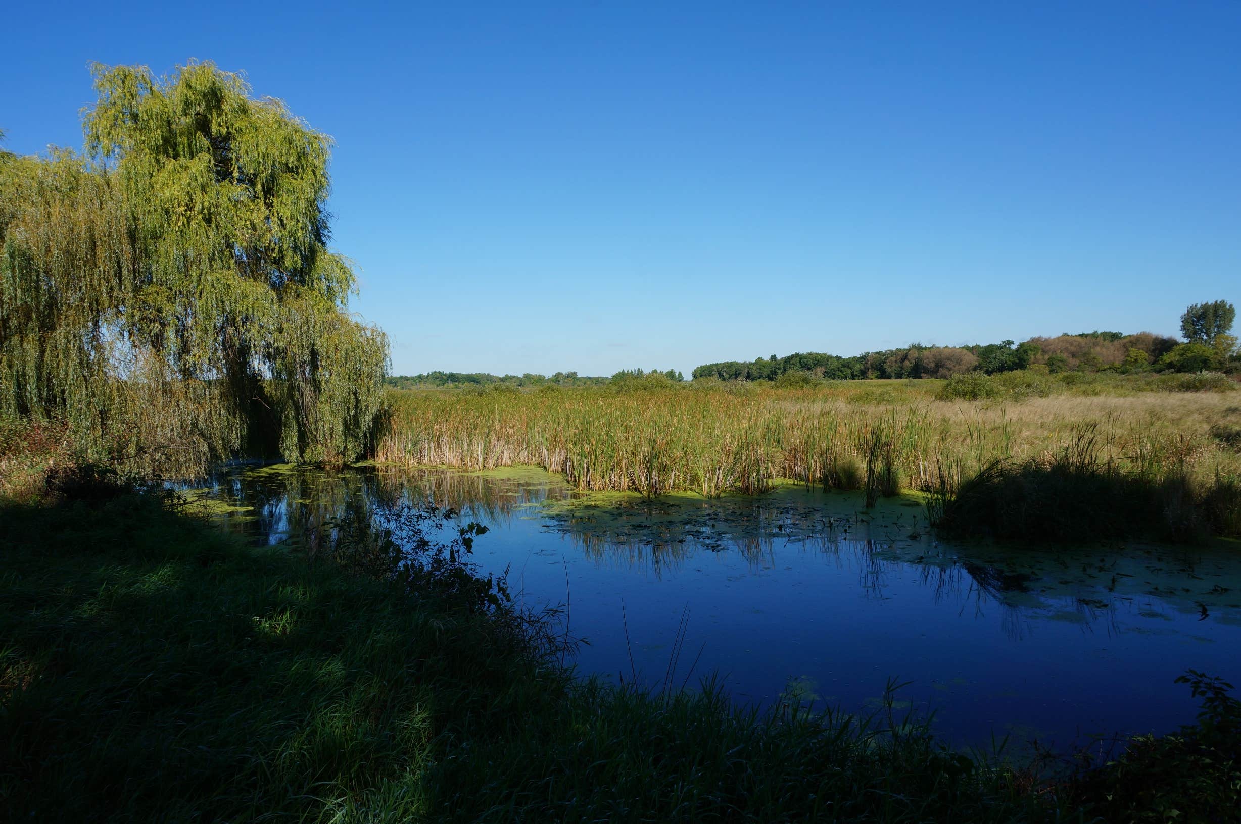 Camper-submitted photo at Sandhill Station State Campground — Lake Mills Wildlife Area near Lake Mills, WI