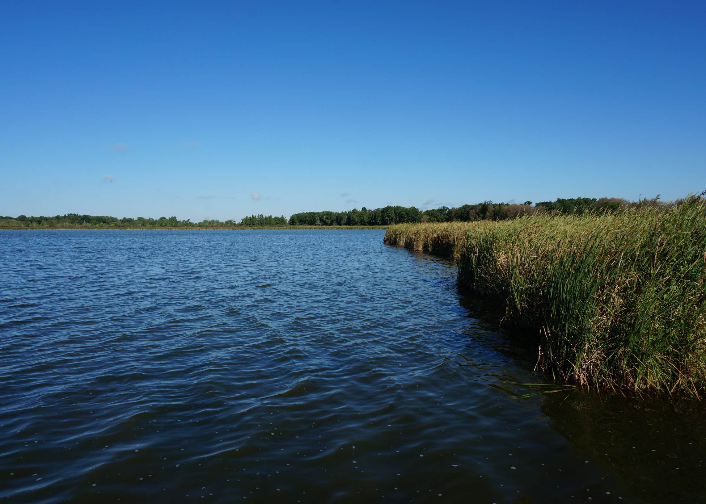 Sandhill Station State Campground Camping The Dyrt