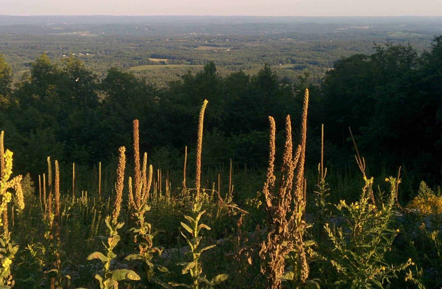 Camper submitted image from Stokes State Forest - 2