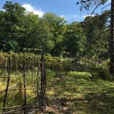Review photo of Stokes State Forest by Stephanie T., October 1, 2016