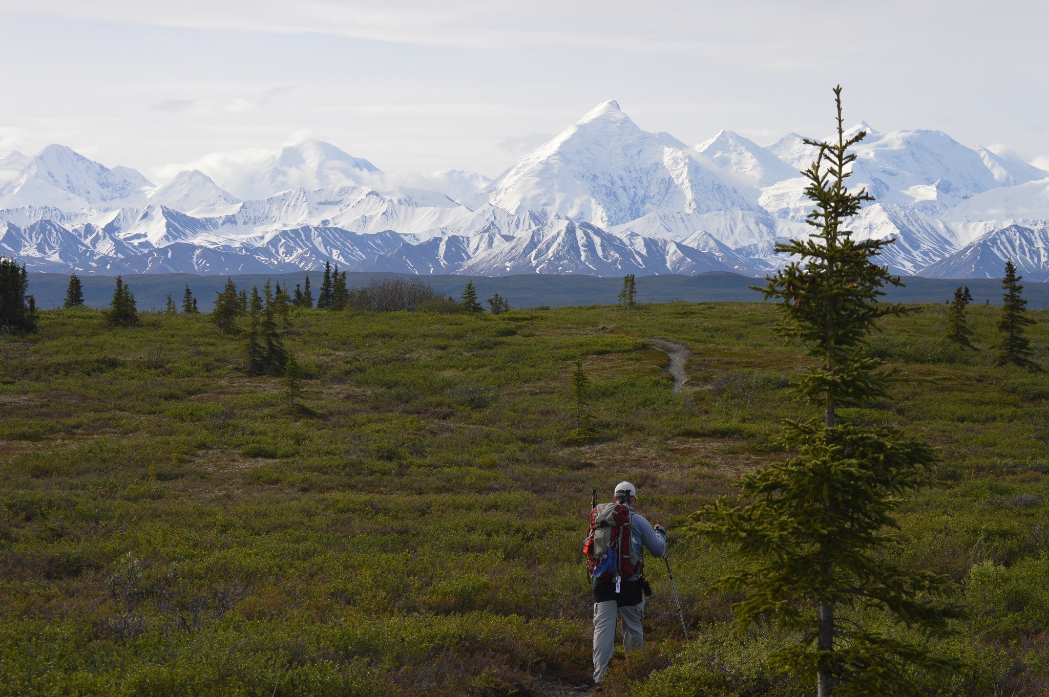 Camper submitted image from Wonder Lake Campground — Denali National Park - 5