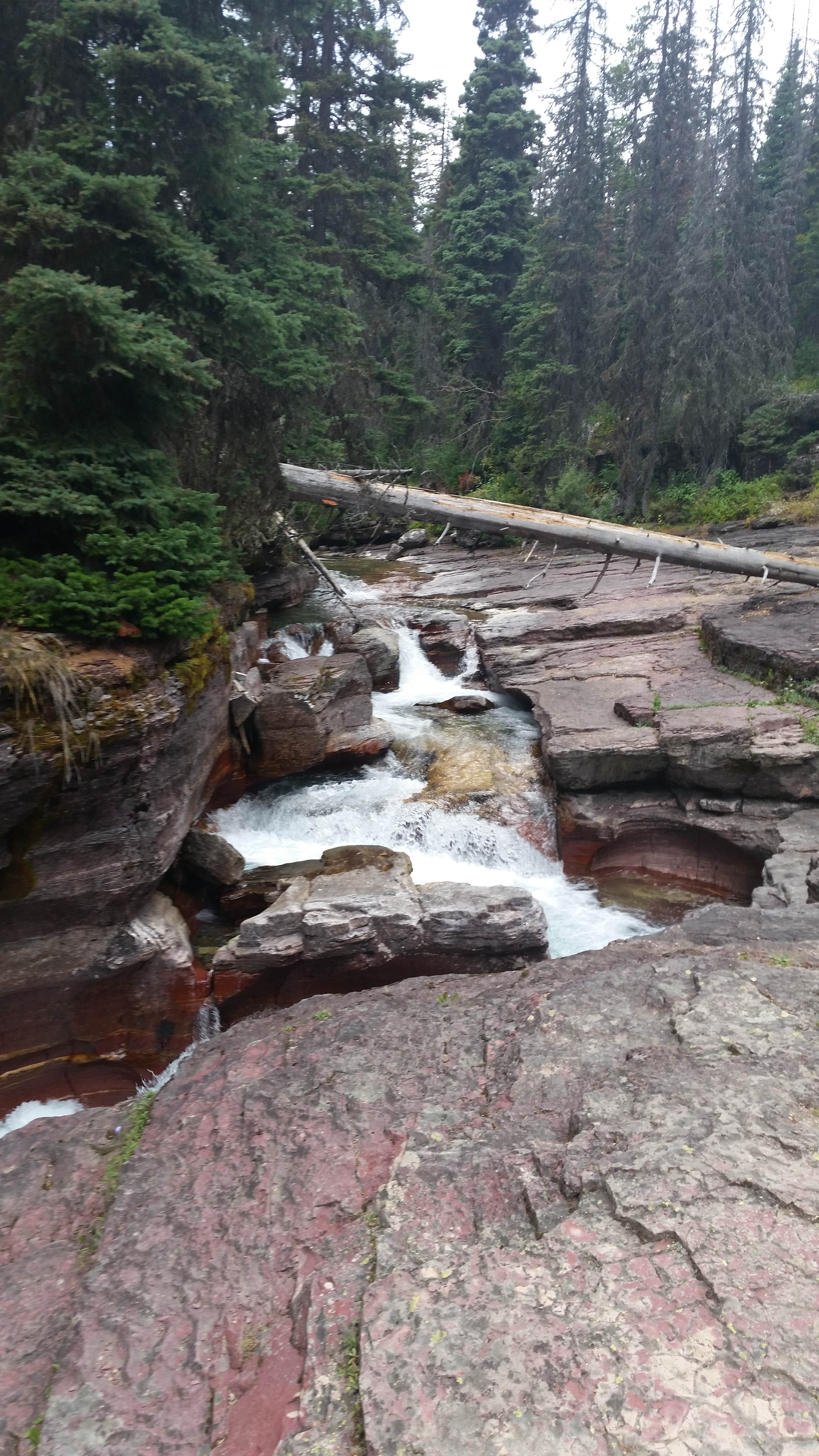 Camper submitted image from Reynolds Creek Wilderness Campsite — Glacier National Park - 1
