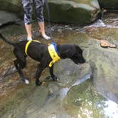Review photo of Cuyahoga Valley National Park - CAMPING NO LONGER OFFERED by Anthony S., October 1, 2016
