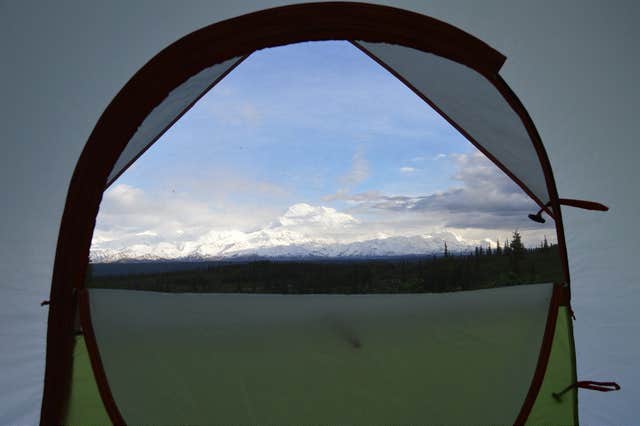 View All
