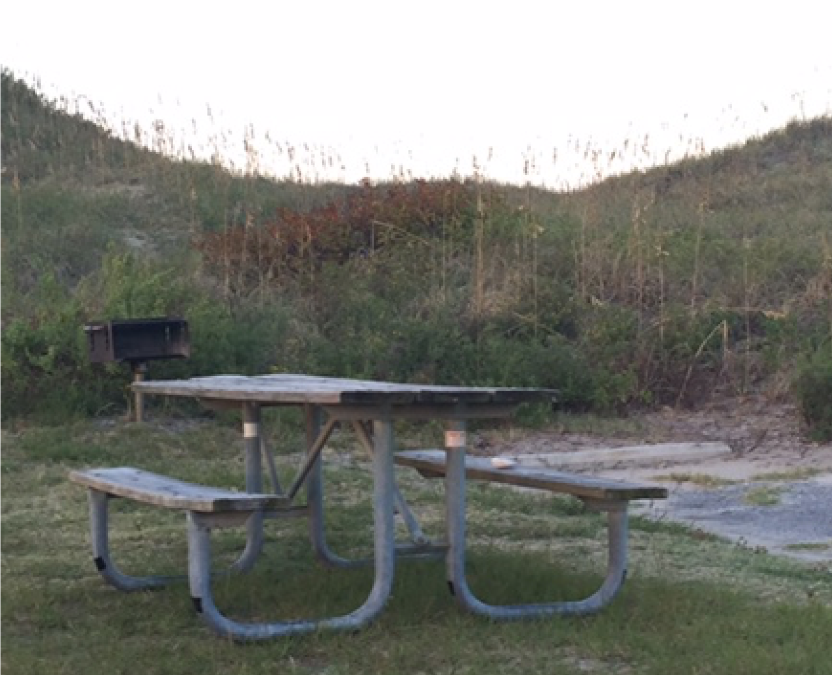Camper submitted image from Oregon Inlet Campground — Cape Hatteras National Seashore - 4