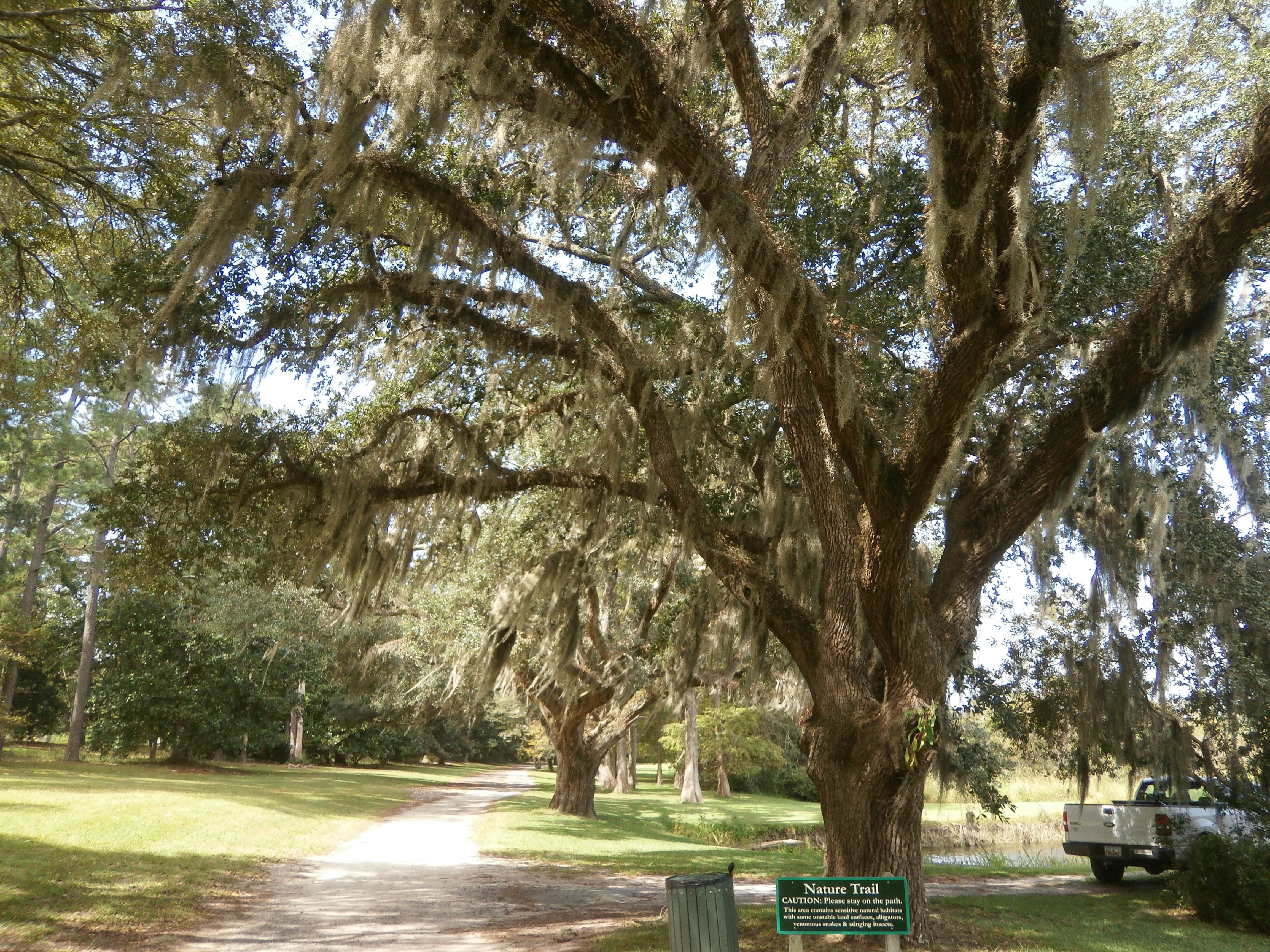 Camper-submitted photo at Pirateland Family Camping Resort in South Carolina