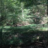 Review photo of Kanawha State Forest by Andrew S., October 1, 2016