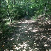 Review photo of Kanawha State Forest by Andrew S., October 1, 2016