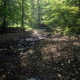 Review photo of Kanawha State Forest by Andrew S., October 1, 2016