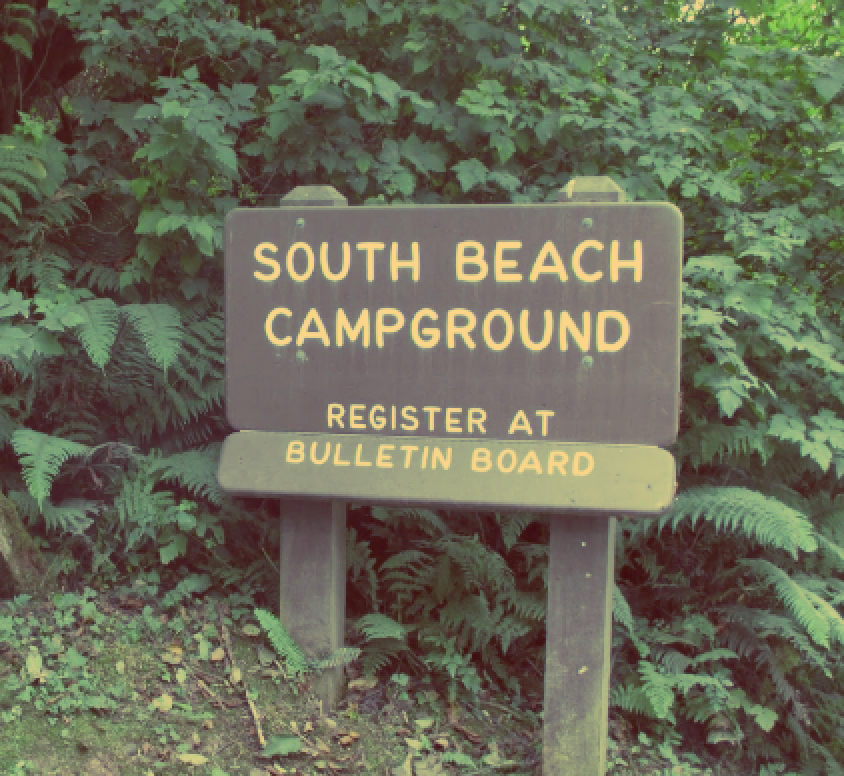 Camper submitted image from Kalaloch Campground - group — Olympic National Park - 5
