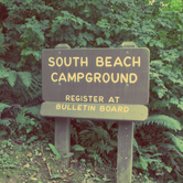 Review photo of Kalaloch Campground - group — Olympic National Park by Kayko S., October 1, 2016