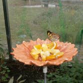 Review photo of Pirateland Family Camping Resort by Andrew S., September 30, 2016