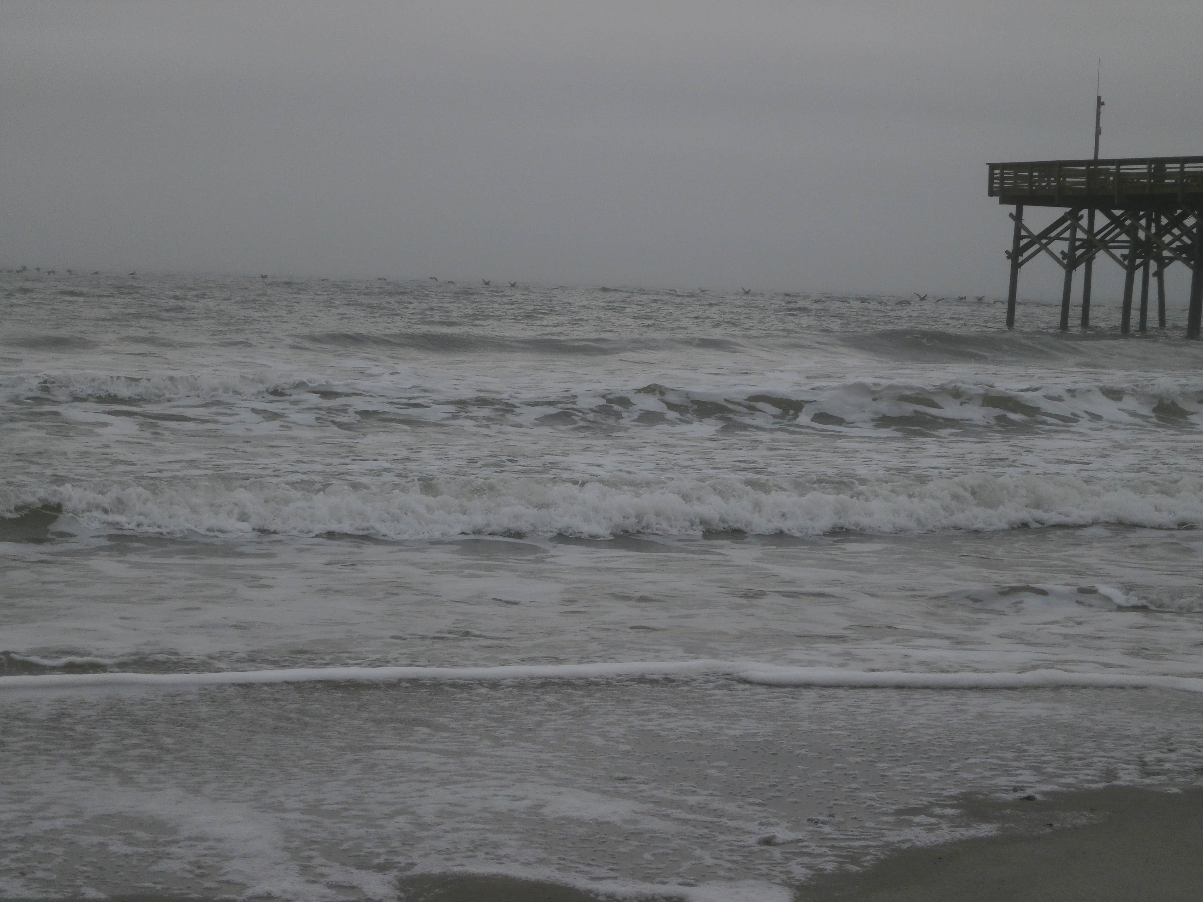 Camper-submitted photo at Pirateland Family Camping Resort in South Carolina